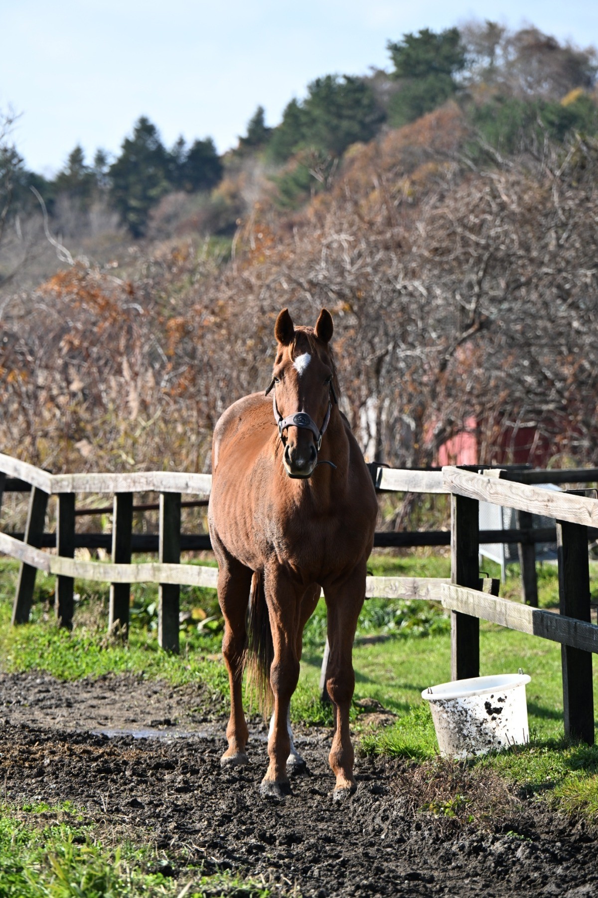 131e86a09fdf473fa6c68f03c4300d3a-1763527417.jpg 131e86a09fdf473fa6c68f03c4300d3a-1763527417.jpg